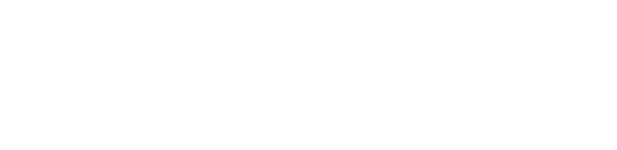 Ricardo Douer Premium Real Estate